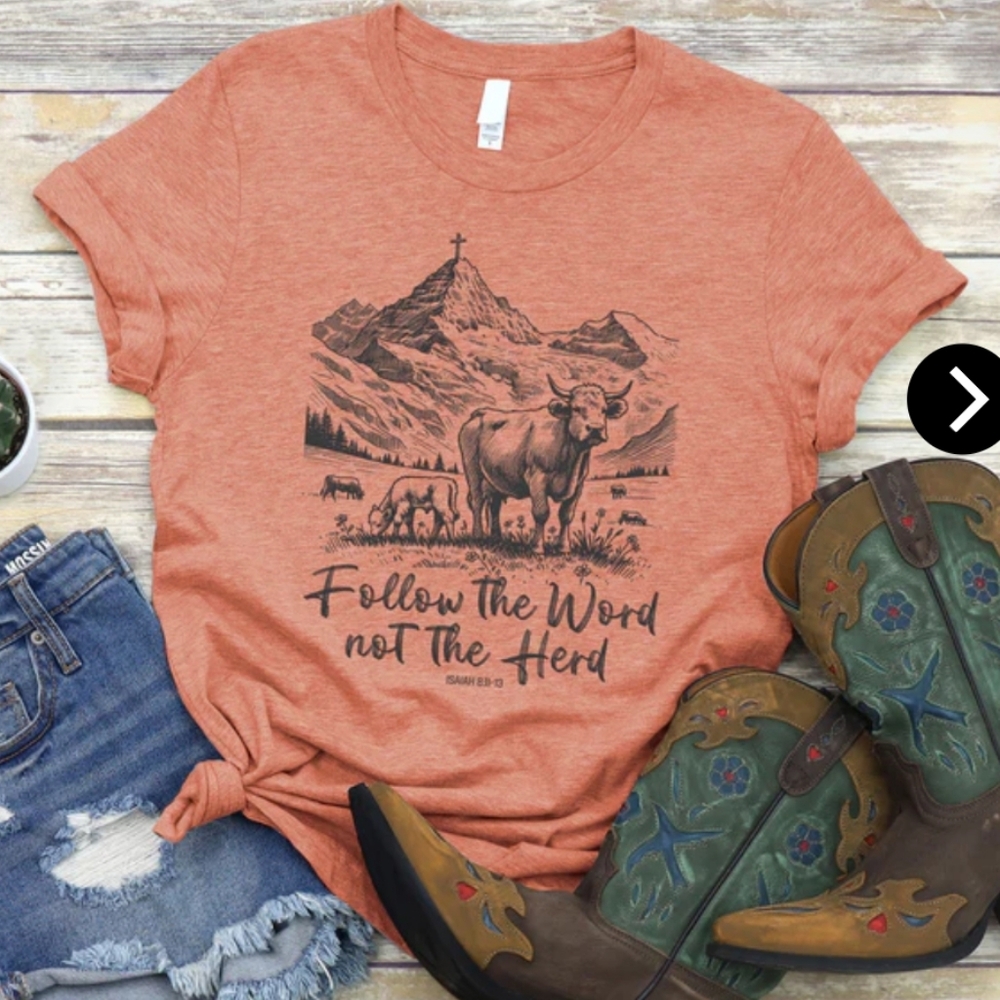 Love & Faith Follow The Word Not The Herd Terracotta Tee NWT L XL 2X 3X - Picture 2 of 4